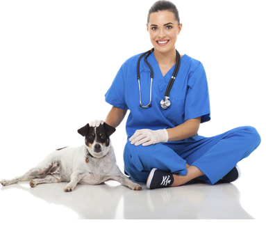 Woman Vet with Dog