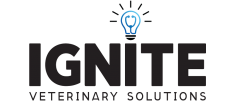 IGNITE image/logo